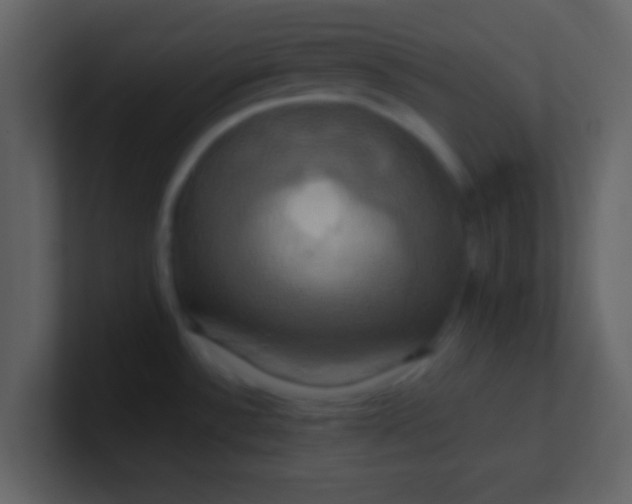 X0000100921532200807081140