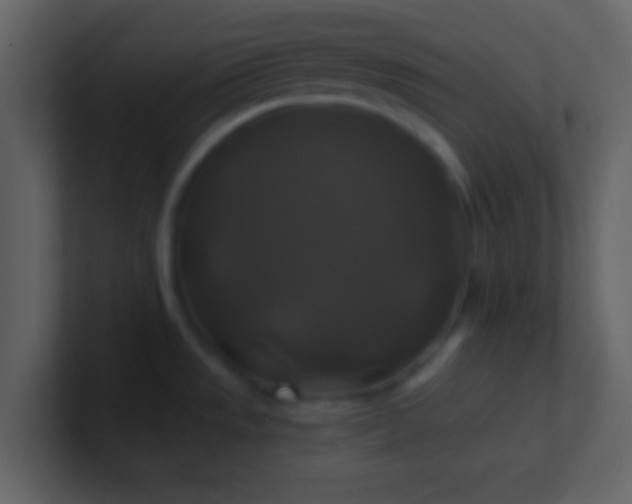 X0000100921533200807081140