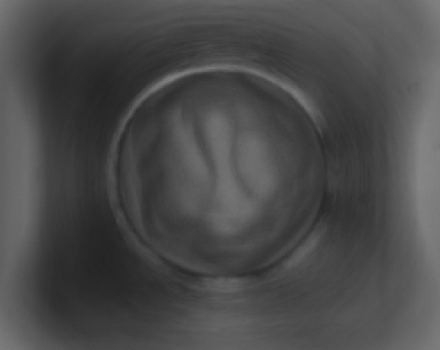 X0000100921534200807081140