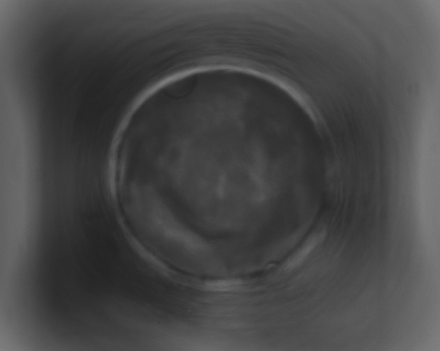 X0000100921535200807081140