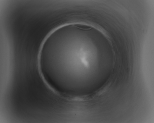 X0000100921536200807081140