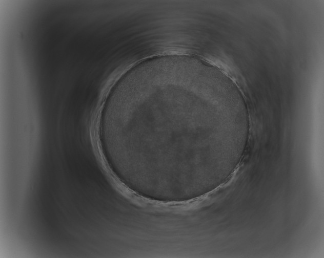 X0000100920001200807151232
