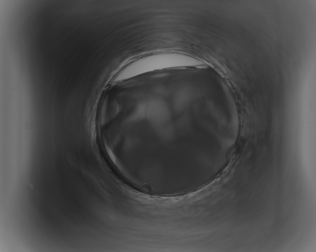 X0000100920002200807151232