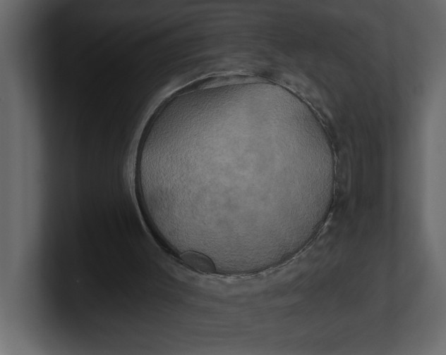 X0000100920003200807151232