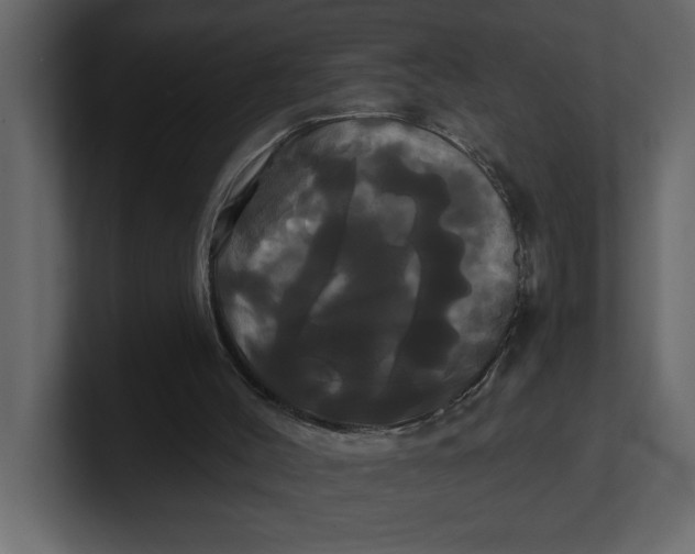 X0000100920004200807151232