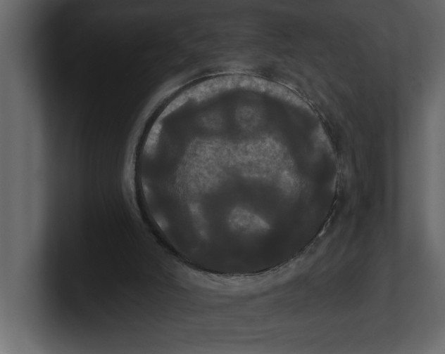 X0000100920006200807151232