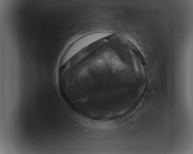 X0000100920008200807151232
