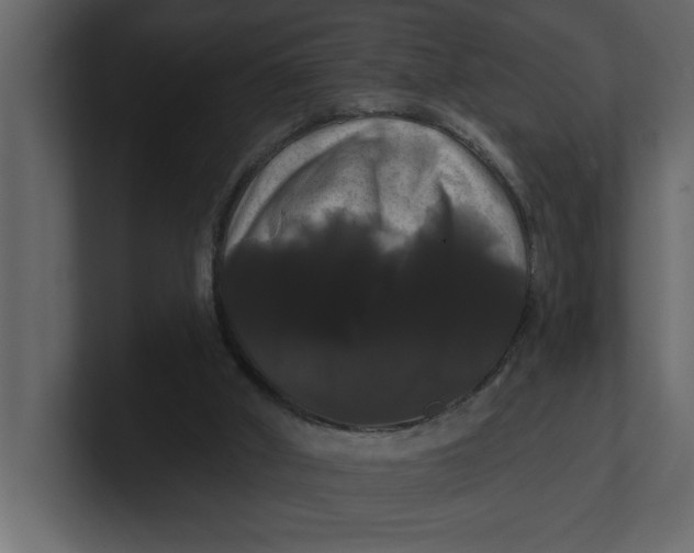 X0000100920010200807151232