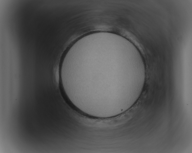 X0000100920011200807151232