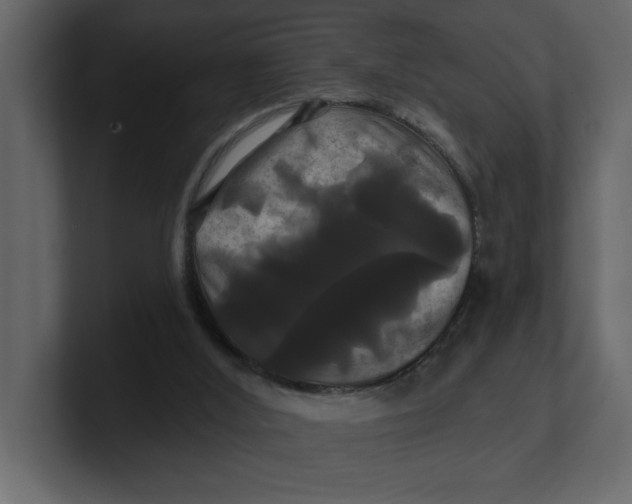 X0000100920012200807151232