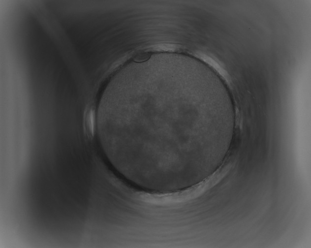 X0000100920013200807151232