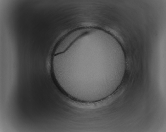 X0000100920015200807151232