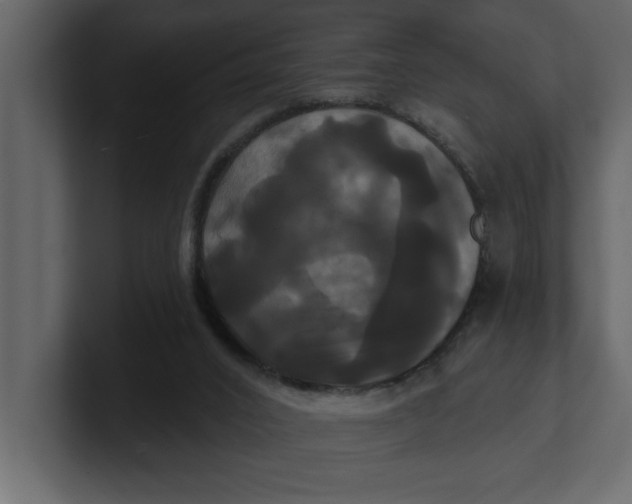 X0000100920016200807151232