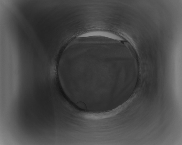 X0000100920017200807151232