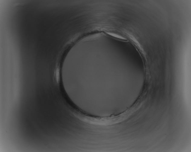 X0000100920019200807151232