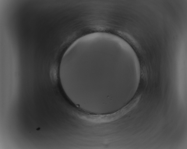 X0000100920023200807151232