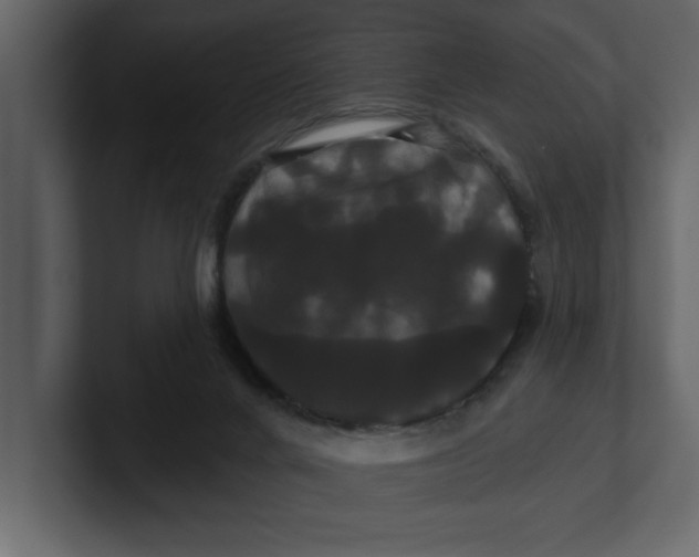 X0000100920024200807151232
