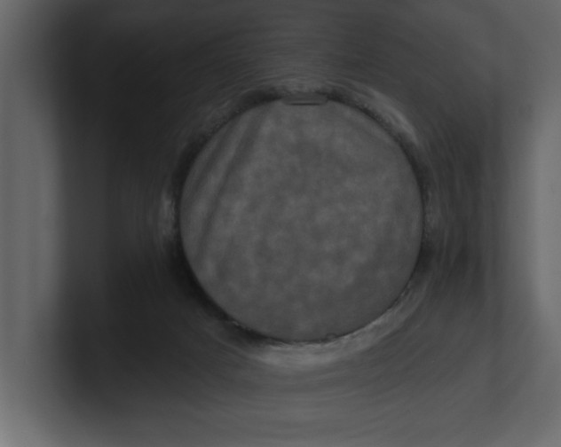 X0000100920025200807151232