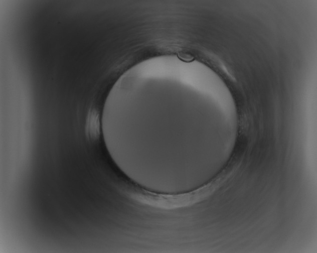 X0000100920027200807151232