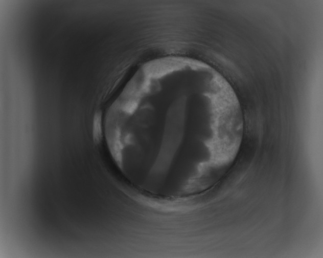 X0000100920028200807151232