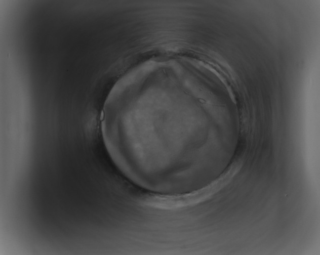 X0000100920029200807151232