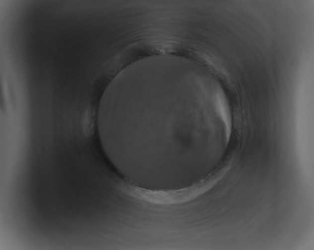 X0000100920030200807151232