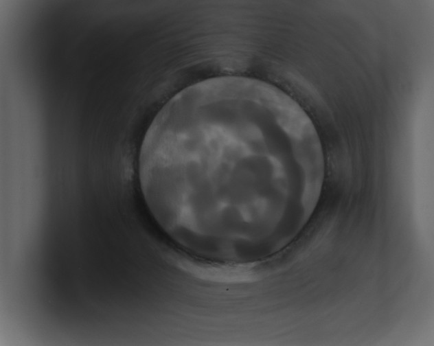 X0000100920032200807151232