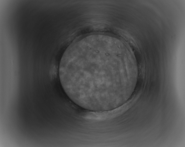 X0000100920033200807151232