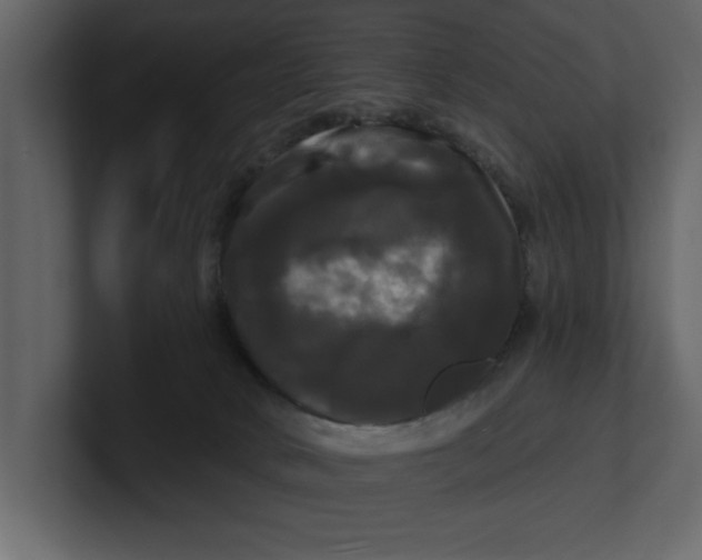 X0000100920034200807151232