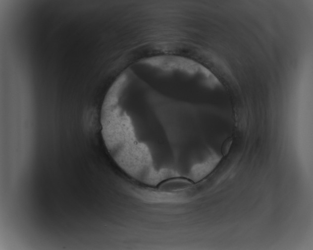 X0000100920036200807151232