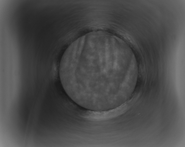 X0000100920037200807151232