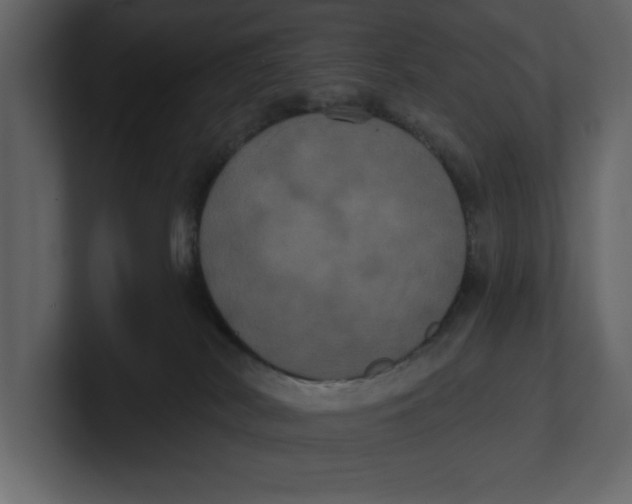 X0000100920038200807151232