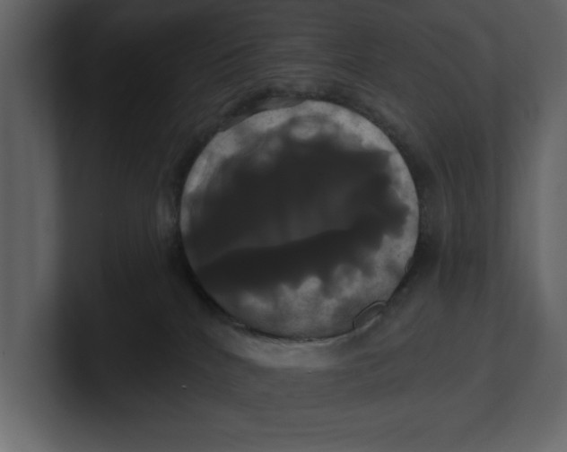 X0000100920040200807151232