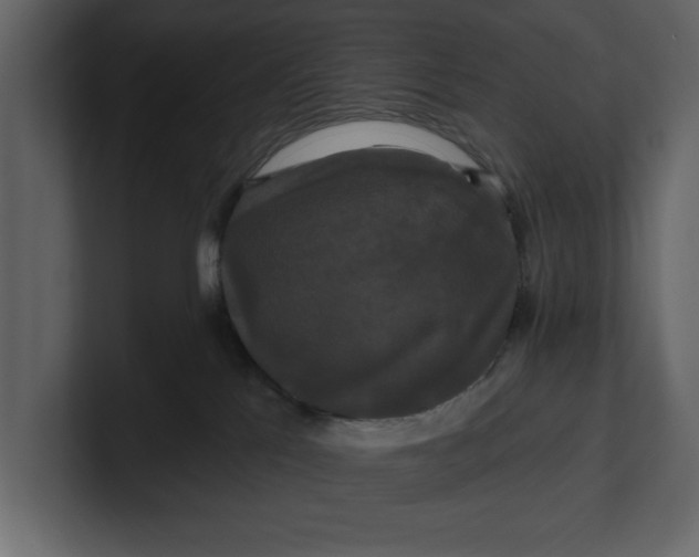 X0000100920041200807151232