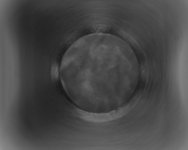 X0000100920042200807151232