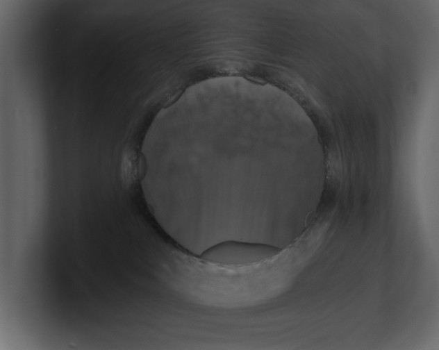 X0000100920043200807151232