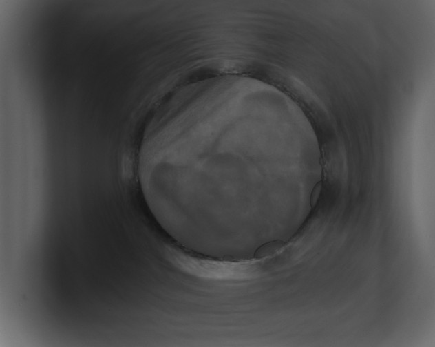 X0000100920044200807151232