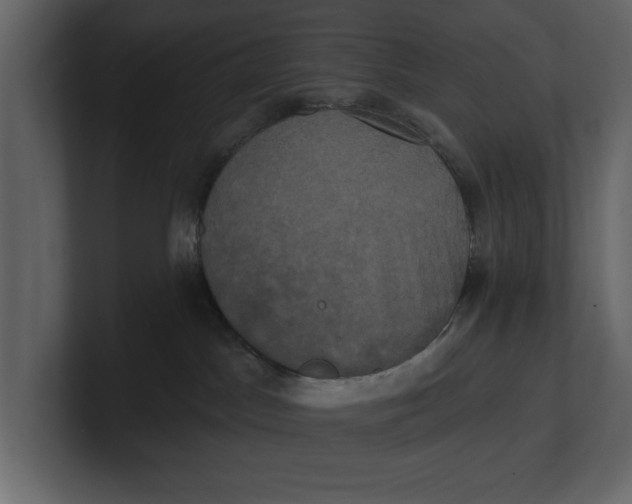 X0000100920045200807151232