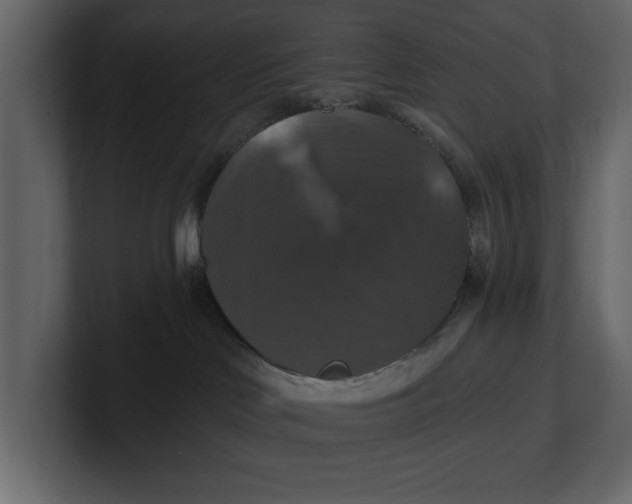 X0000100920046200807151231