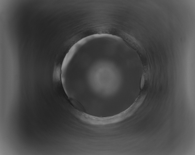 X0000100920047200807151231