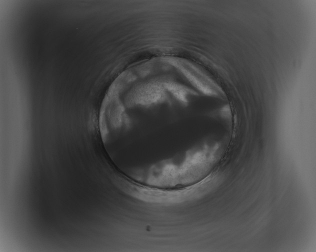 X0000100920048200807151231