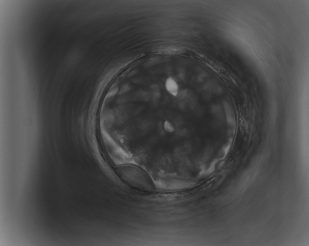 X0000100920049200807151231