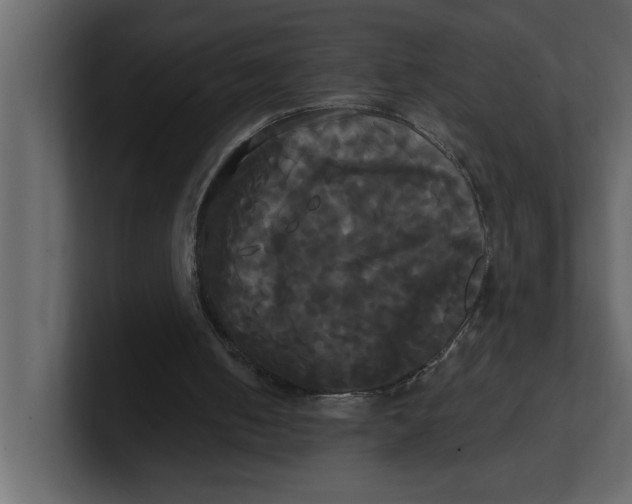 X0000100920050200807151231