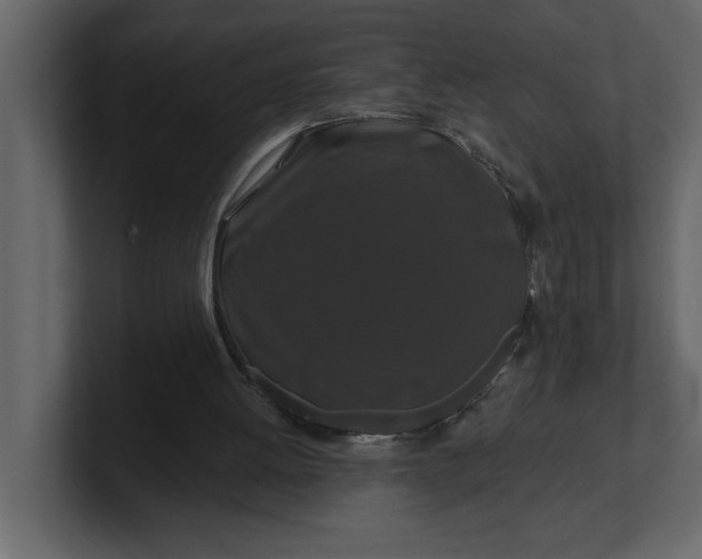 X0000100920052200807151231