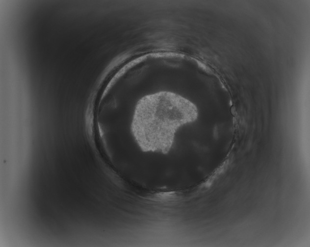 X0000100920054200807151231