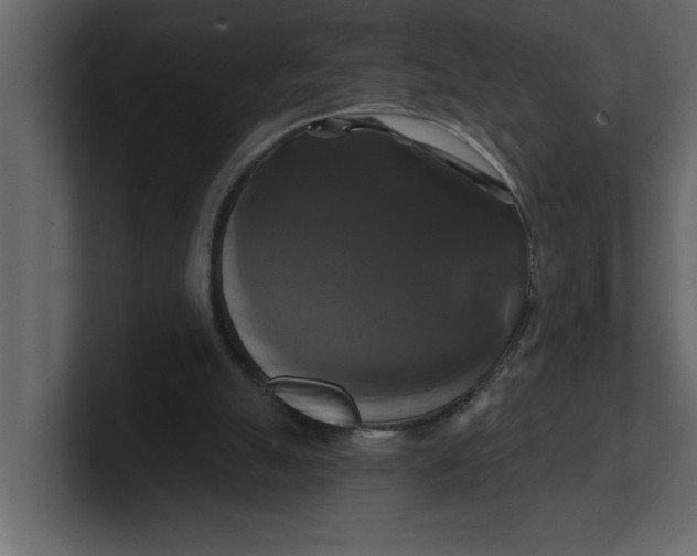 X0000100920055200807151231
