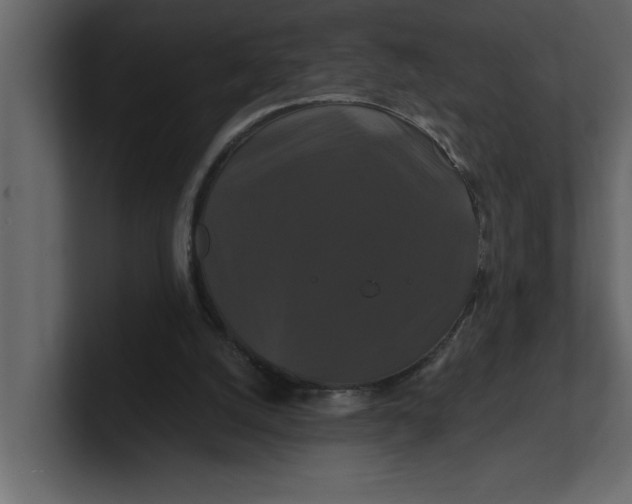 X0000100920056200807151231