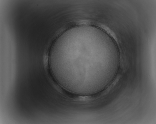 X0000100920057200807151231
