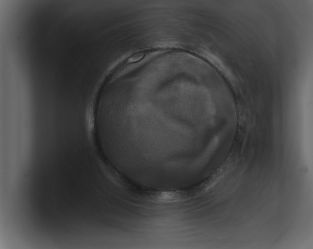 X0000100920060200807151231
