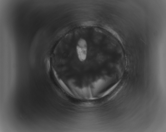 X0000100920061200807151231